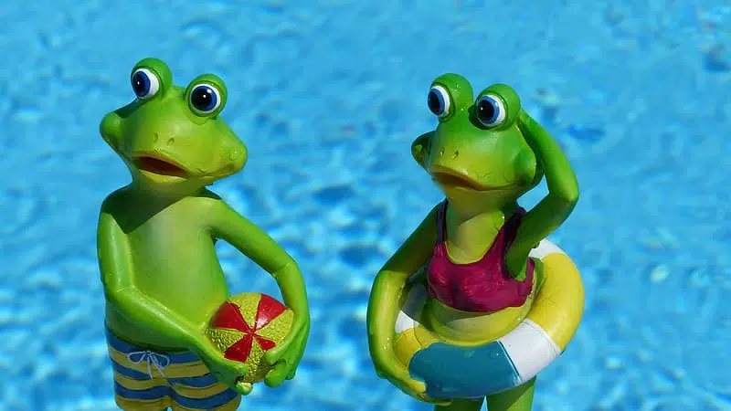 Pool Frog System/Aquasmarte 1 SNS