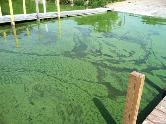 Hot Tub Chlorine Showdown: Finding the Perfect Match for Your Hot Tub